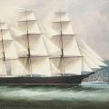 Cowper Search 