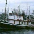 Queen at Fishermans Wharf