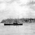 Steamer Emily Harris