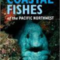 Rockfish:  Their Plight and How Divers are Helping