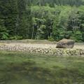 Clam Gardens: Traditional Shellfish Mariculture on the Northwest Coast