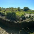 Sunny Island