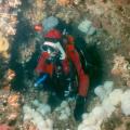 Idaho Dive
