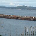 Chemainus Dry Dock Barges