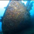 Exploration Dive on MV Queen