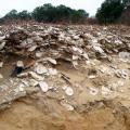 Shellfish Archaeology in BC