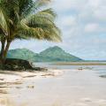 "Total Surprise: sunken ships of Chuuk Lagoon"