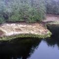 Clam Gardens