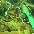: The Explosive History of HMS Raleigh: UXO Residues Research at the site of a Heavy Cruiser Wreck in Labrador