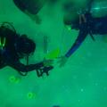 The Maritime Archaeological Society: Our First Year 