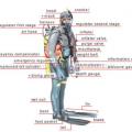 Solo Diving - not just about diving by yourself.